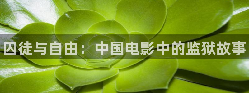 天美星空影视