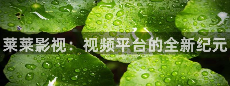 星空国际影城：莱莱影视：视频平台的全新纪元