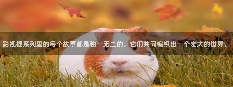 星空盒子影视：影视棍系列里的每个故事都是独一无二的，它们共同编织出一个宏大的世界。
