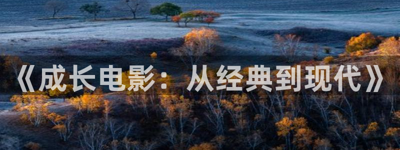 雁回时在线观看星空影院