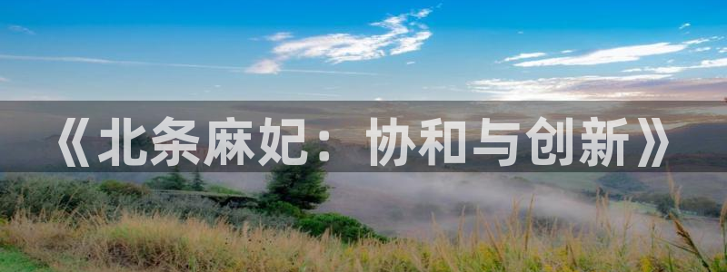 关于星空的视频：《北条麻妃：协和与创新》
