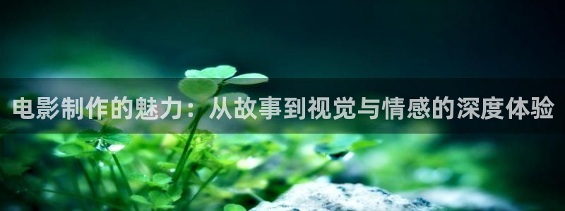 滁州星空影城今日放映：电影制作的魅力：从故事到视觉与情感的深度体验