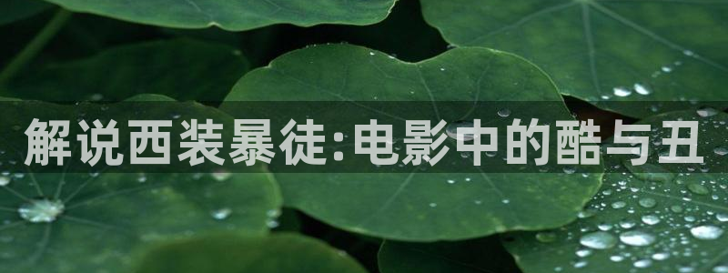 星空影视电视版：解说西装暴徒:电影中的酷与丑