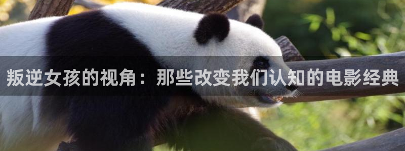 星空影院在线观看全集免费观看影视大全：叛逆女孩的视角：那些改变我们认知的电影经典