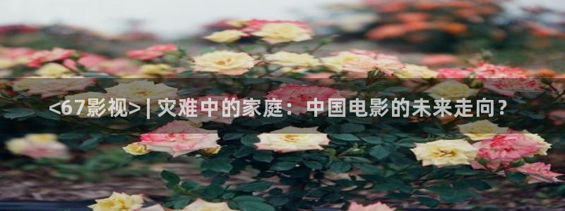 一片星空：<67影视> | 灾难中的家庭：中国电影的未来走向？