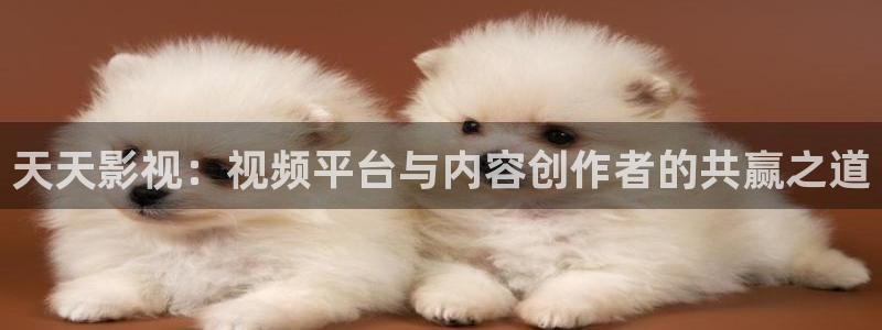 星空电影在线观看播放免费：天天影视：视频平台与内容创作者的共赢之道
