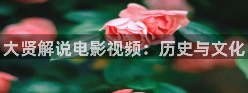 无锡星空今日影讯：大贤解说电影视频：历史与文化
