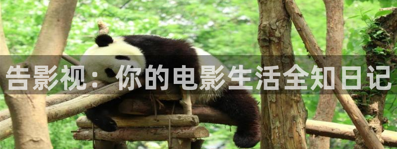星空影视,：告影视：你的电影生活全知日记