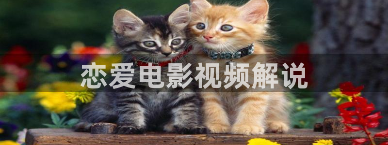 星空影视免费观看方法：恋爱电影视频解说