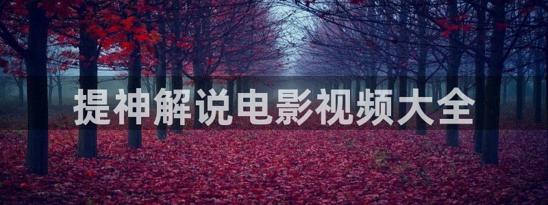 星空视频电影在线观看：提神解说电影视频大全