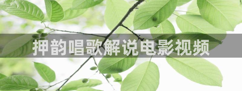 星空影视免费：押韵唱歌解说电影视频