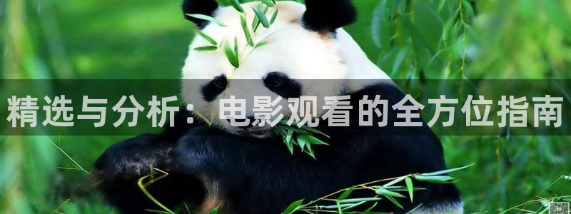 星空电影院高清在线观看：精选与分析：电影观看的全方位指南