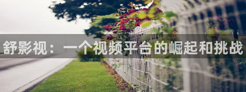 星空影院手机电视剧：舒影视：一个视频平台的崛起和挑战