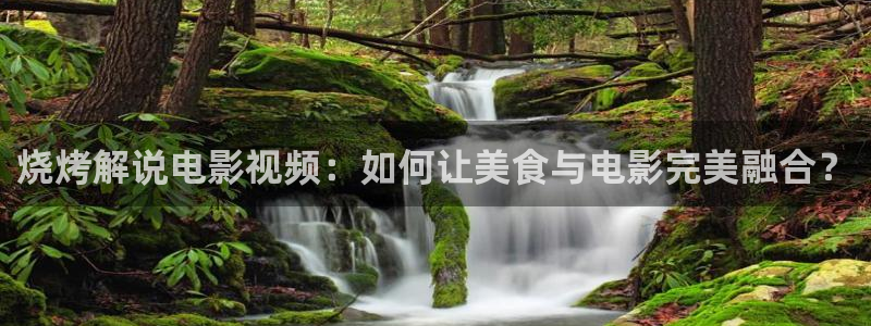 星空影视可信吗：烧烤解说电影视频：如何让美食与电影完美融合？