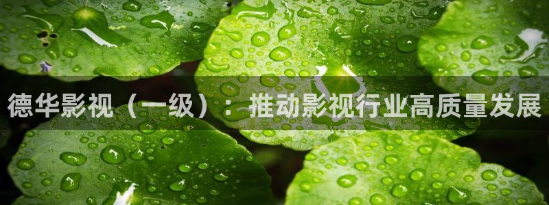 星空影视免费观看电影：德华影视（一级）：推动影视行业高质量发展
