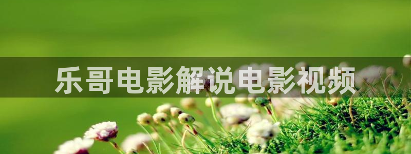 星空影院在线观看免费全集：乐哥电影解说电影视频