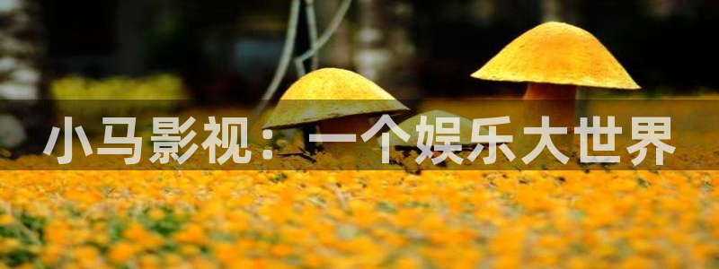 沧元图星空影视：小马影视：一个娱乐大世界