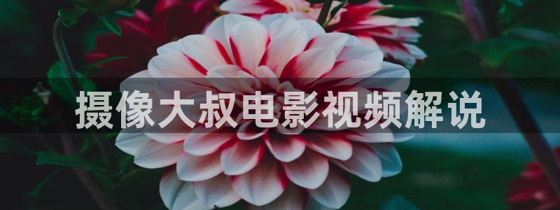 星空影院在哪下载：摄像大叔电影视频解说