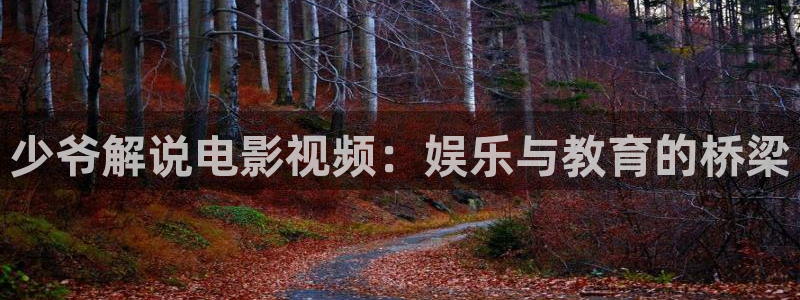 星空影视影视大全：少爷解说电影视频：娱乐与教育的桥梁