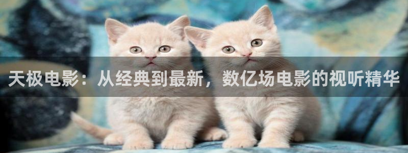 星空电影完整版：天极电影：从经典到最新，数亿场电影的视听精华