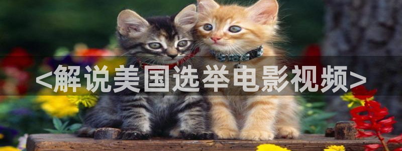 星空影视正版：<解说美国选举电影视频>