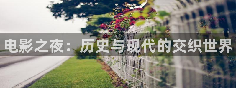 影视厅星空顶：电影之夜：历史与现代的交织世界