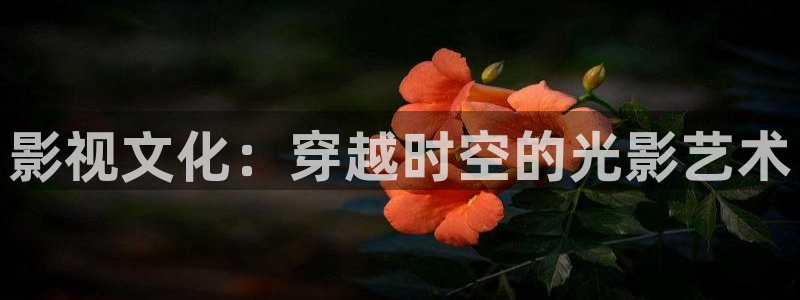 星空影视新版：影视文化：穿越时空的光影艺术