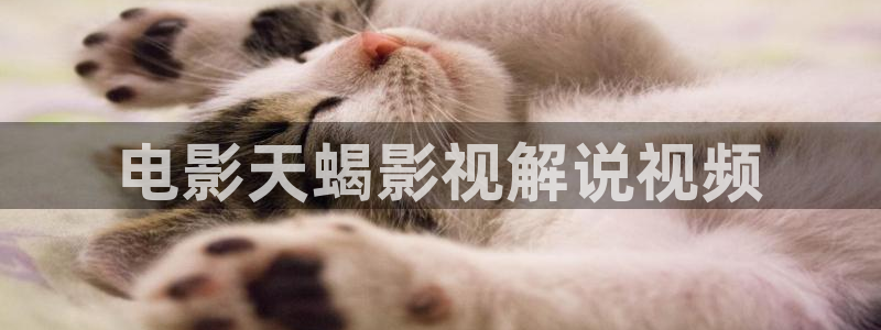 星空影院 在线观看：电影天蝎影视解说视频