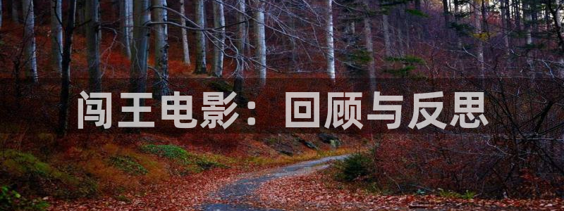 星空影院在线观看免费播放电视剧：闯王电影：回顾与反思