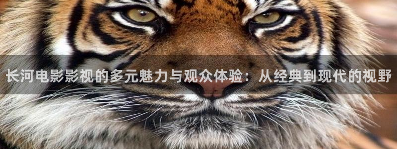 滤镜免费观看星空影院：长河电影影视的多元魅力与观众体验：从经典到现代的视野