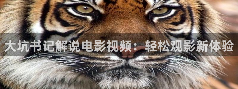雁回时星空影院免费观看：大坑书记解说电影视频：轻松观影新体验