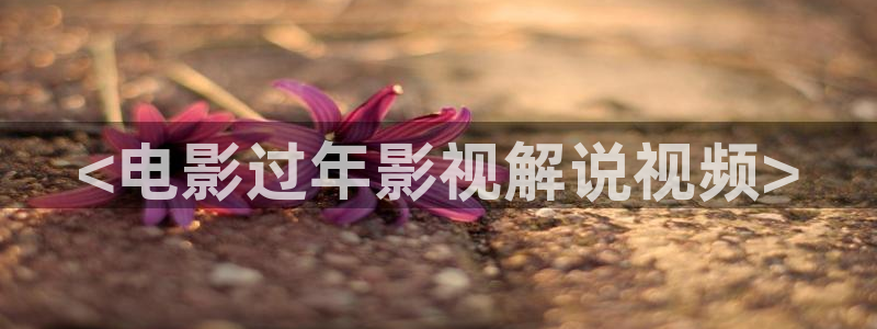 《雁回时》星空影院：<电影过年影视解说视频>