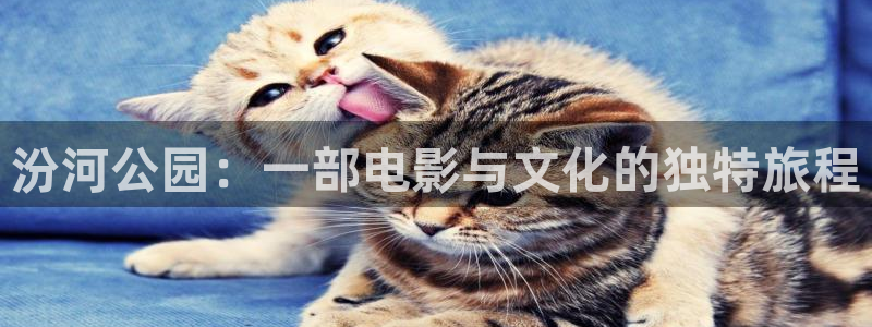 星空影视传媒在线免费观看：汾河公园：一部电影与文化的独特旅程