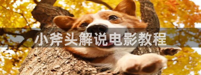 星空无限传媒免费观看：小斧头解说电影教程