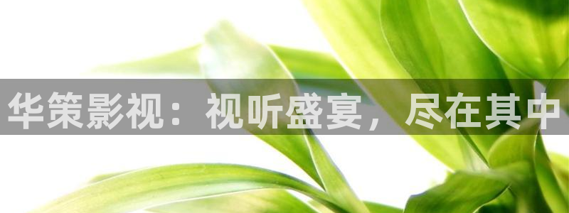 那片星空那片海哪里能看：华策影视：视听盛宴，尽在其中
