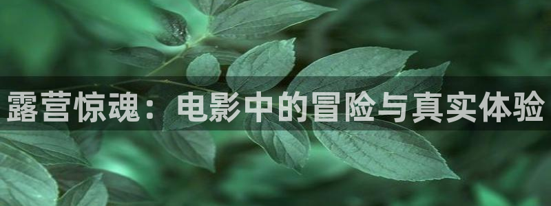 大庆中影星空影城影讯今日：露营惊魂：电影中的冒险与真实体验