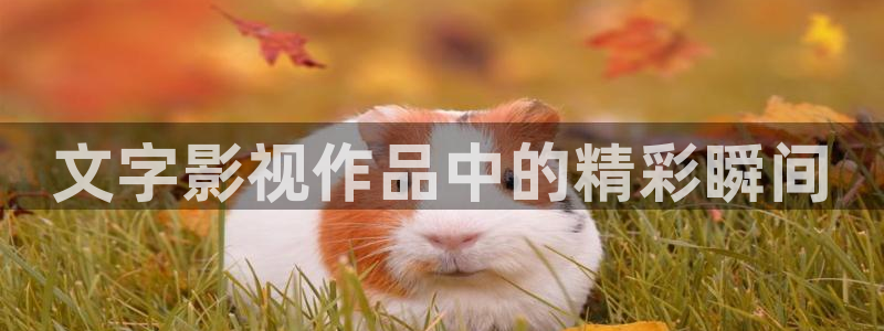 乡村爱情6星空影院：文字影视作品中的精彩瞬间