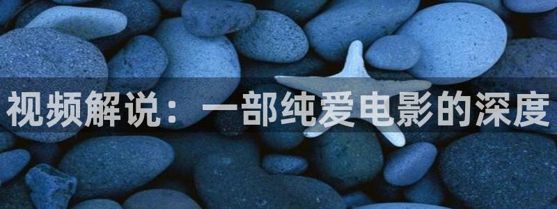 星空视频播放器：视频解说：一部纯爱电影的深度