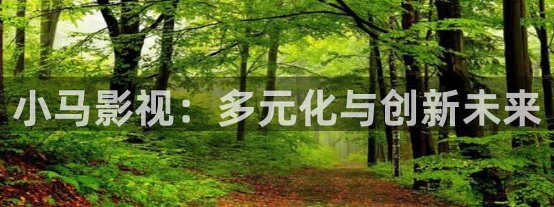 星空影院高清视频：小马影视：多元化与创新未来