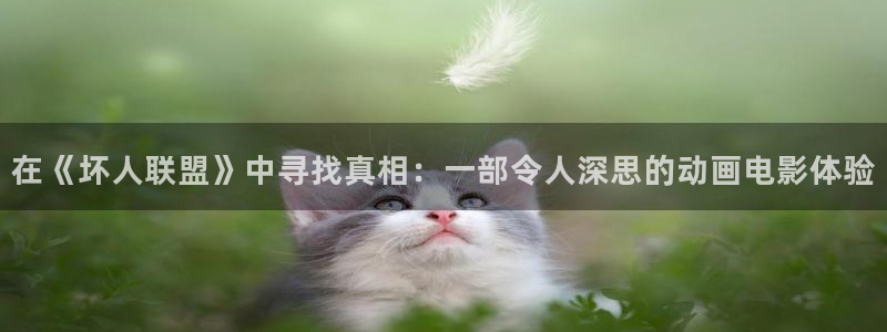星空无限传媒免费观看电影：在《坏人联盟》中寻找真相：一部令人深思的动画电影体验