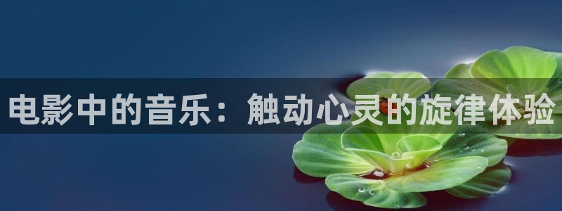 星空影院动漫免费观看完整版高清：电影中的音乐：触动心灵的旋律体验