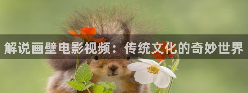 星空影院电影高清免费观看：解说画壁电影视频：传统文化的奇妙世界