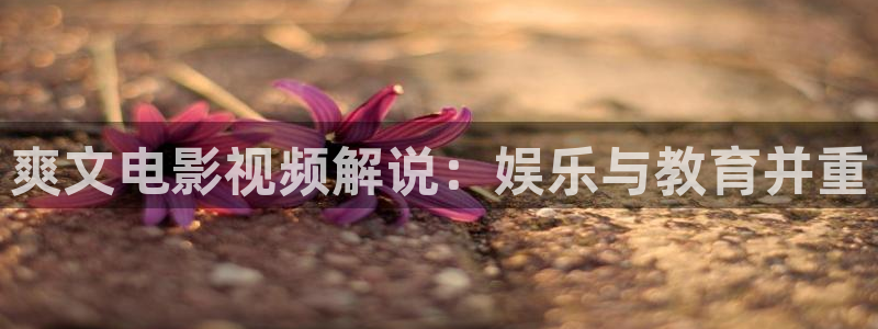 星空影视官网app：爽文电影视频解说：娱乐与教育并重