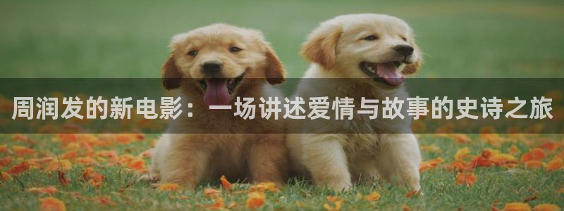 星空影视下载免费：周润发的新电影：一场讲述爱情与故事的史诗之旅