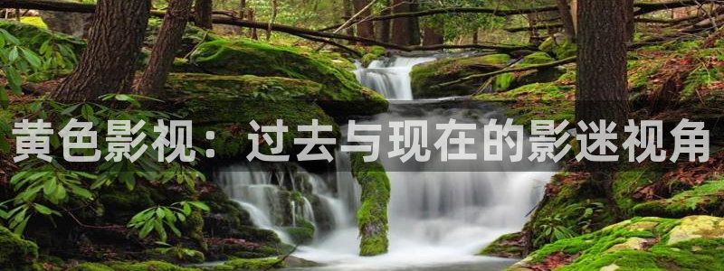 星空影院好看的电影电视剧免费：黄色影视：过去与现在的影迷视角