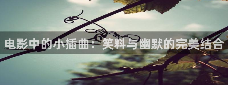 星空视频免费观看高清完整版：电影中的小插曲：笑料与幽默的完美结合