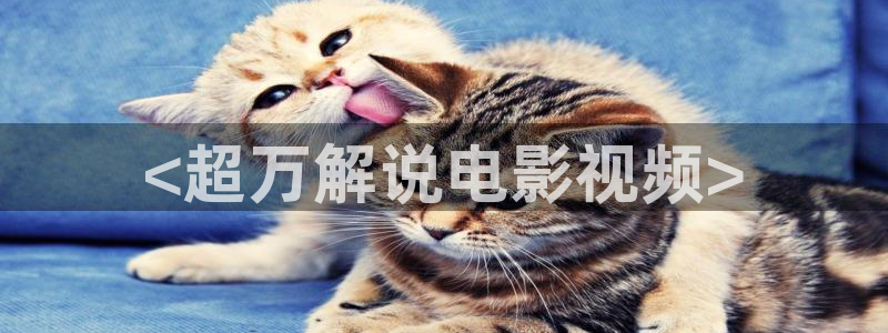 星空电影 网：<超万解说电影视频>