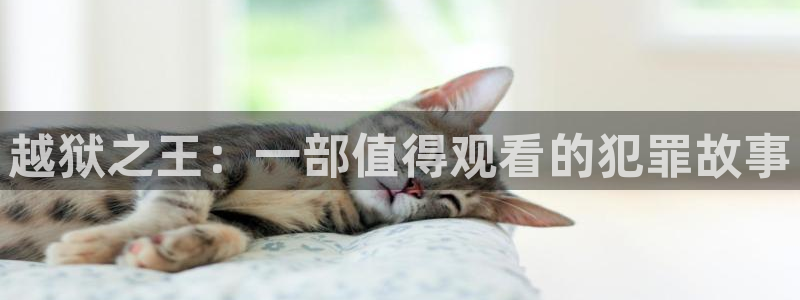 星空影院在线观看免费观：越狱之王：一部值得观看的犯罪故事