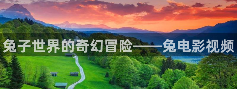 星空影院免费观看电：兔子世界的奇幻冒险——兔电影视频