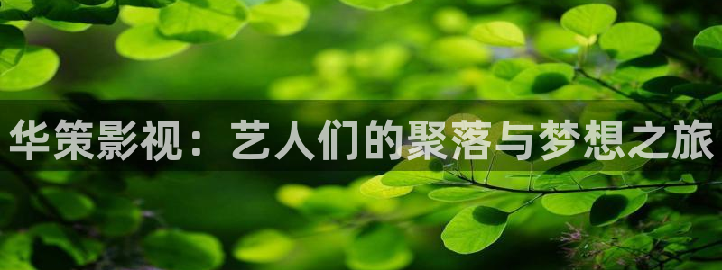 星空影院高清电影：华策影视：艺人们的聚落与梦想之旅